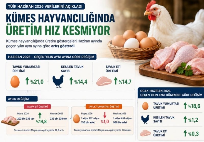 Haziran Ayı Kümes Hayvancılığı Verileri: Üretim Artışı Sürüyor