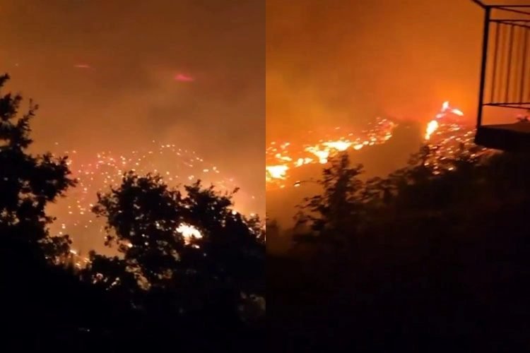 Alanya'da Orman Yangını: 54 Ev Tahliye Edildi, Bazı Evler Kül Oldu