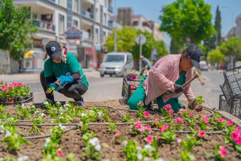 Milas'ta Yeşil Alanlar ve Parklar Yenileniyor: Ekipler Yoğun Mesai Harcıyor
