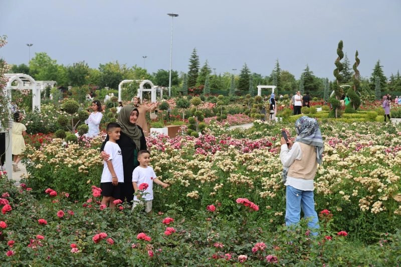 Karatay'ın Lavanta ve Gül Bahçeleri Ziyaretçi Akınına Uğradı, Misafirler Memnuniyetlerini Dile Getirdi