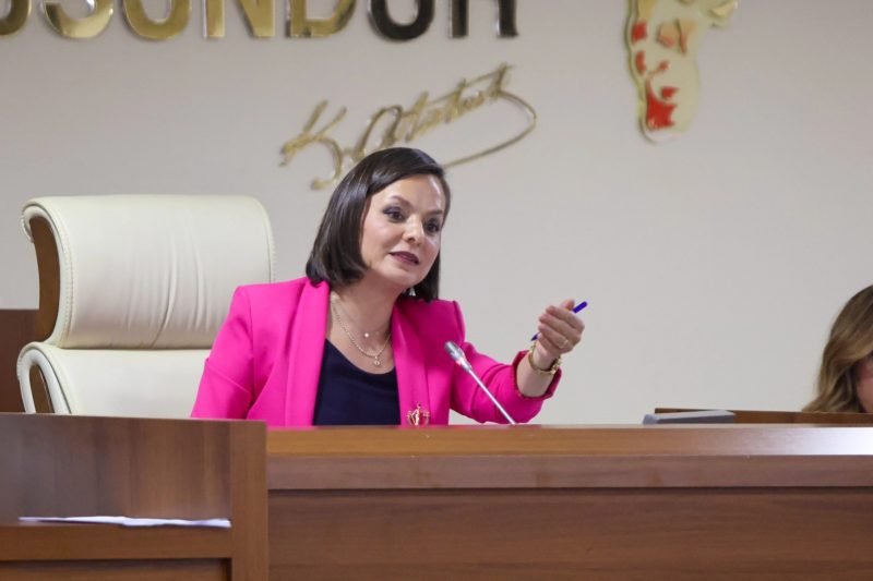 Karabağlar Meclisi'nde Atık Yönetimi ve Afet Hazırlıkları Masadaydı