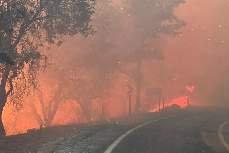 İstanbul İtfaiyesi, Balıkesir'deki Orman Yangınına Destek İçin Harekete Geçti