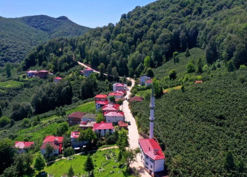 Ordu'da Aybastı'ya Beton Yol: Ulaşımda Yeni Dönem